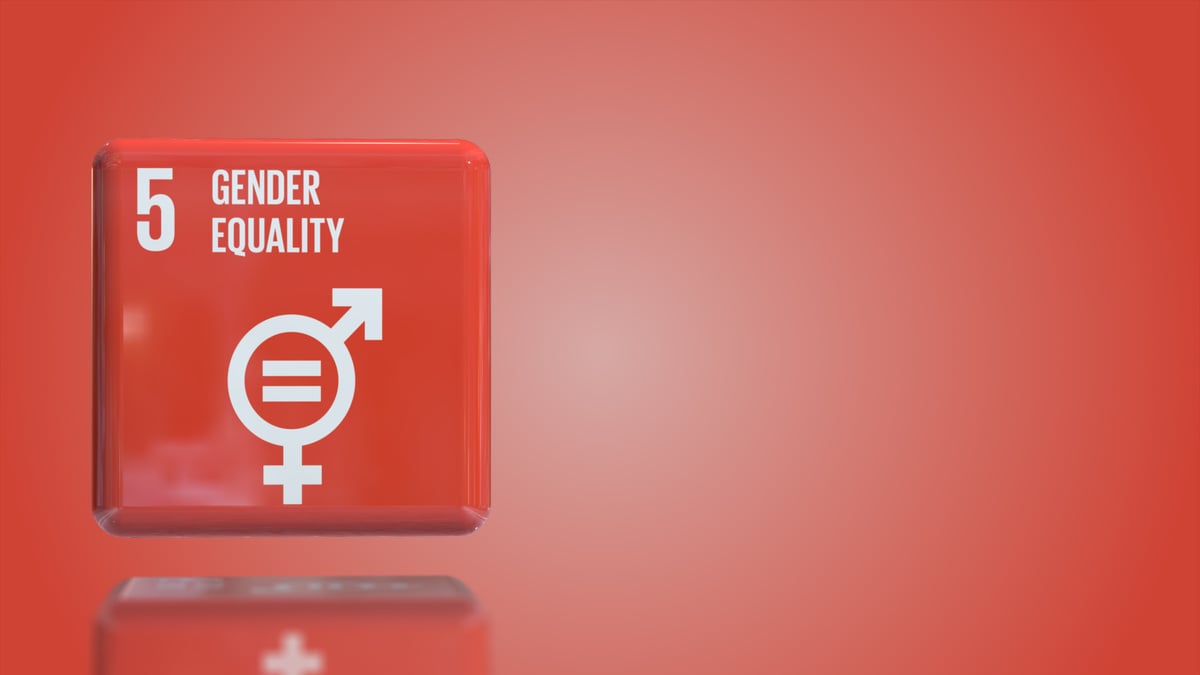 Number 5 Gender equality 3D box UN sustainability goals 2030 with copy space